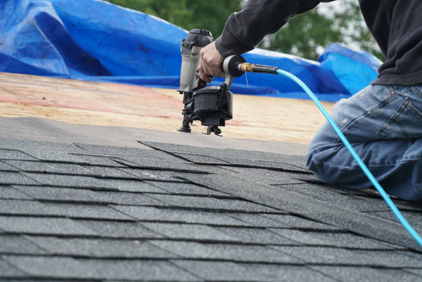 Best Flat Roof Repair Services  in High Springs, FL
